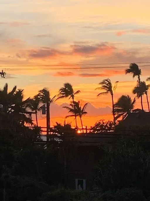 Apartment Maui Vista. 1 Bedroom Fully Furnished Across From Kam 1 Beach. Walking Distance To Restaurants And Shops. Kihei