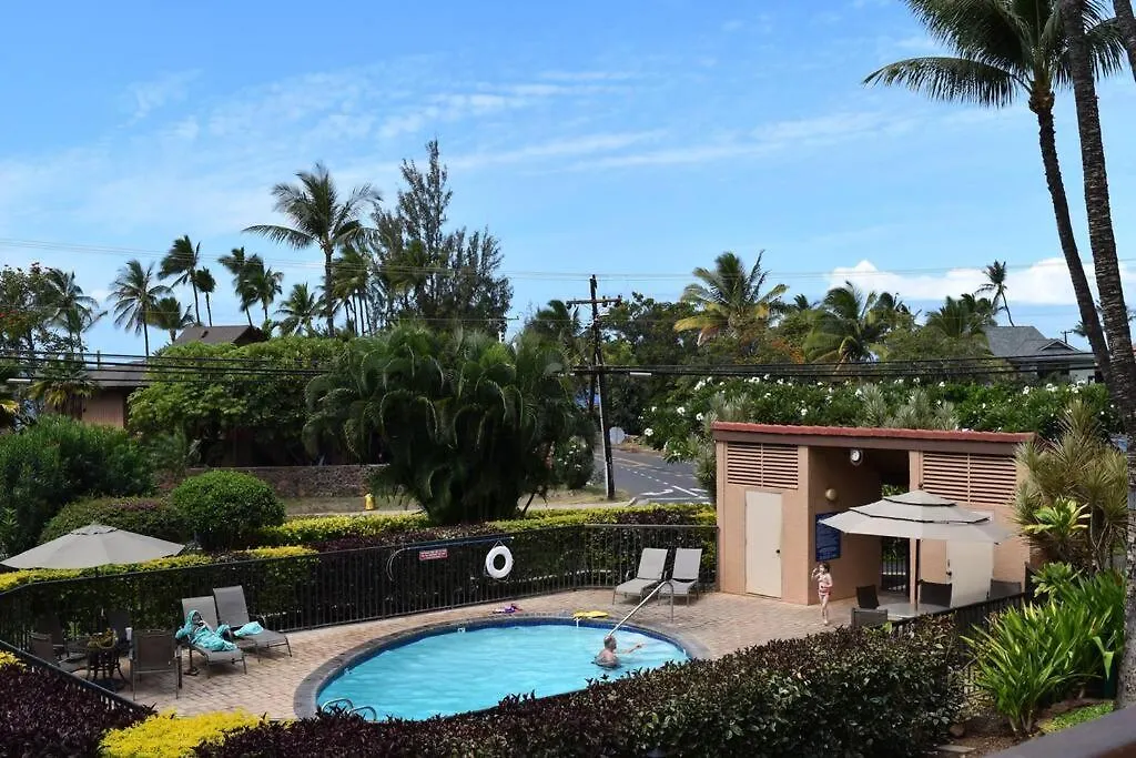 Apartment Maui Vista. 1 Bedroom Fully Furnished Across From Kam 1 Beach. Walking Distance To Restaurants And Shops.