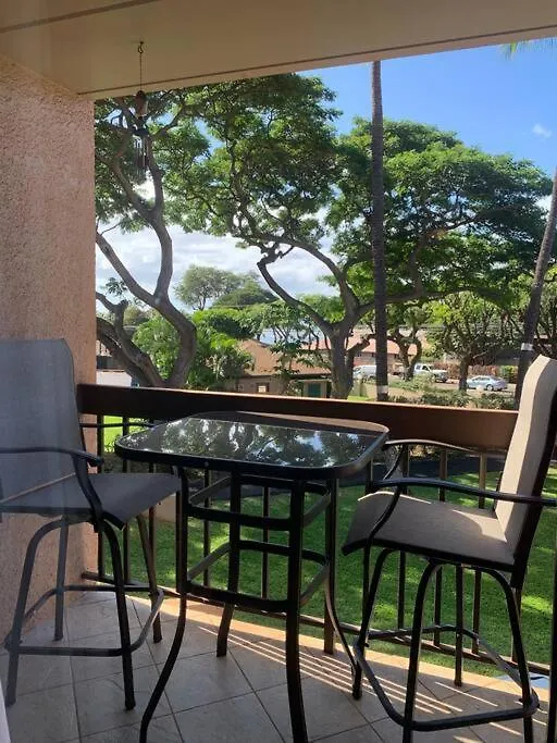 Maui Vista. 1 Bedroom Fully Furnished Across From Kam 1 Beach. Walking Distance To Restaurants And Shops. Apartment *