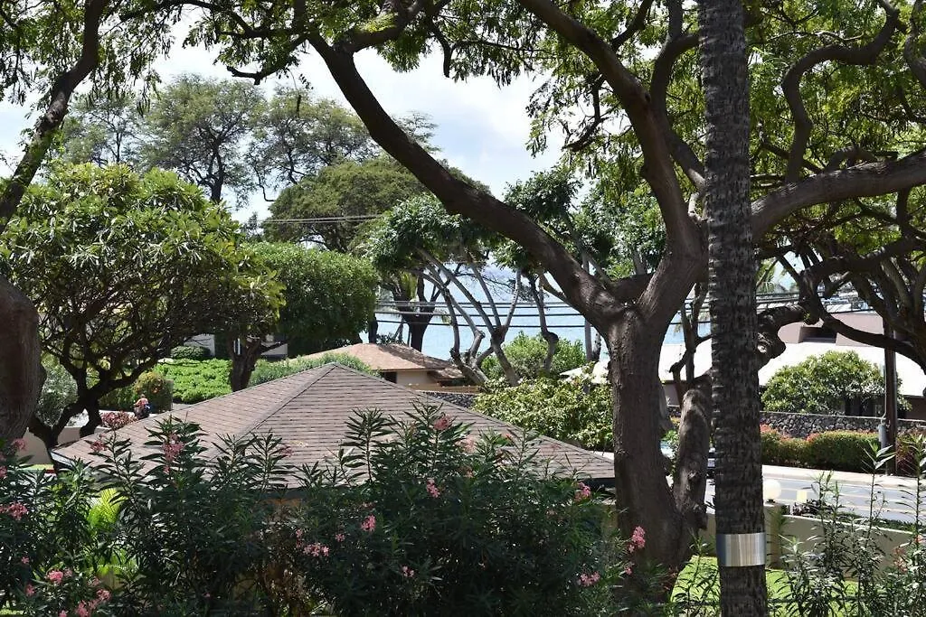 Apartment Maui Vista. 1 Bedroom Fully Furnished Across From Kam 1 Beach. Walking Distance To Restaurants And Shops. *
