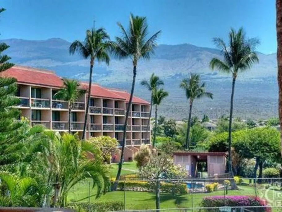 Maui Vista. 1 Bedroom Fully Furnished Across From Kam 1 Beach. Walking Distance To Restaurants And Shops. Apartment *