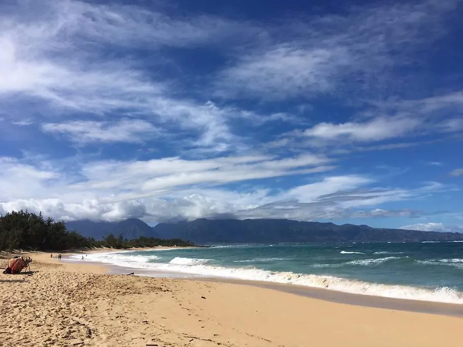 Apartment Maui Vista. 1 Bedroom Fully Furnished Across From Kam 1 Beach. Walking Distance To Restaurants And Shops.