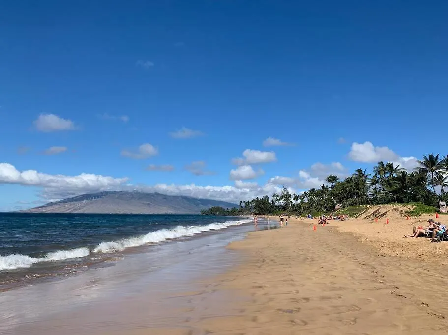 Maui Vista. 1 Bedroom Fully Furnished Across From Kam 1 Beach. Walking Distance To Restaurants And Shops.