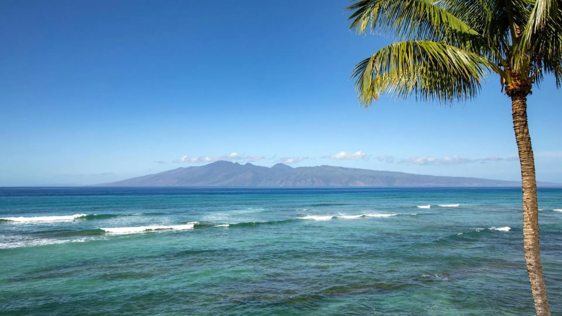 Kbm Free Car Lokelani Lok-b201 Ocean Front 2 Bedrooms Recently Remodeled Apartmán