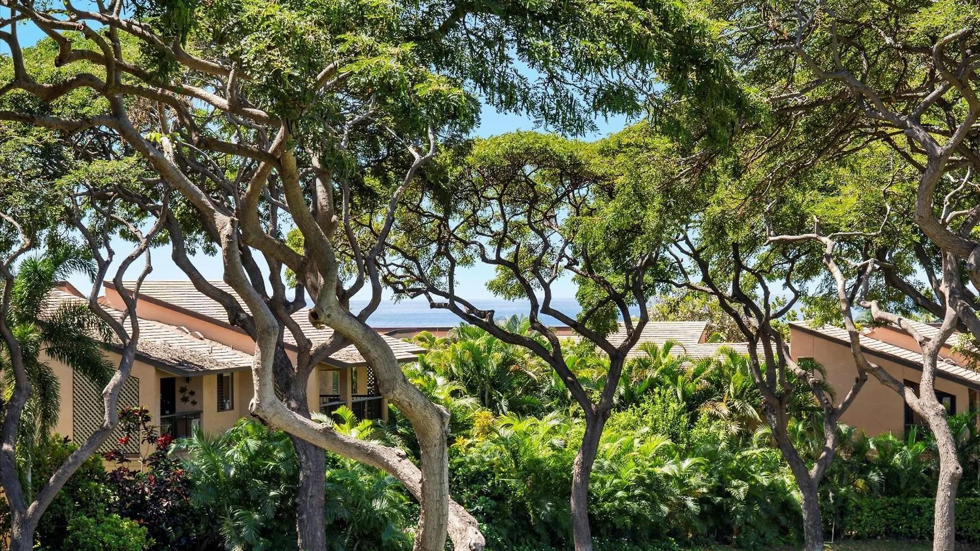 Palms At Wailea 604 *