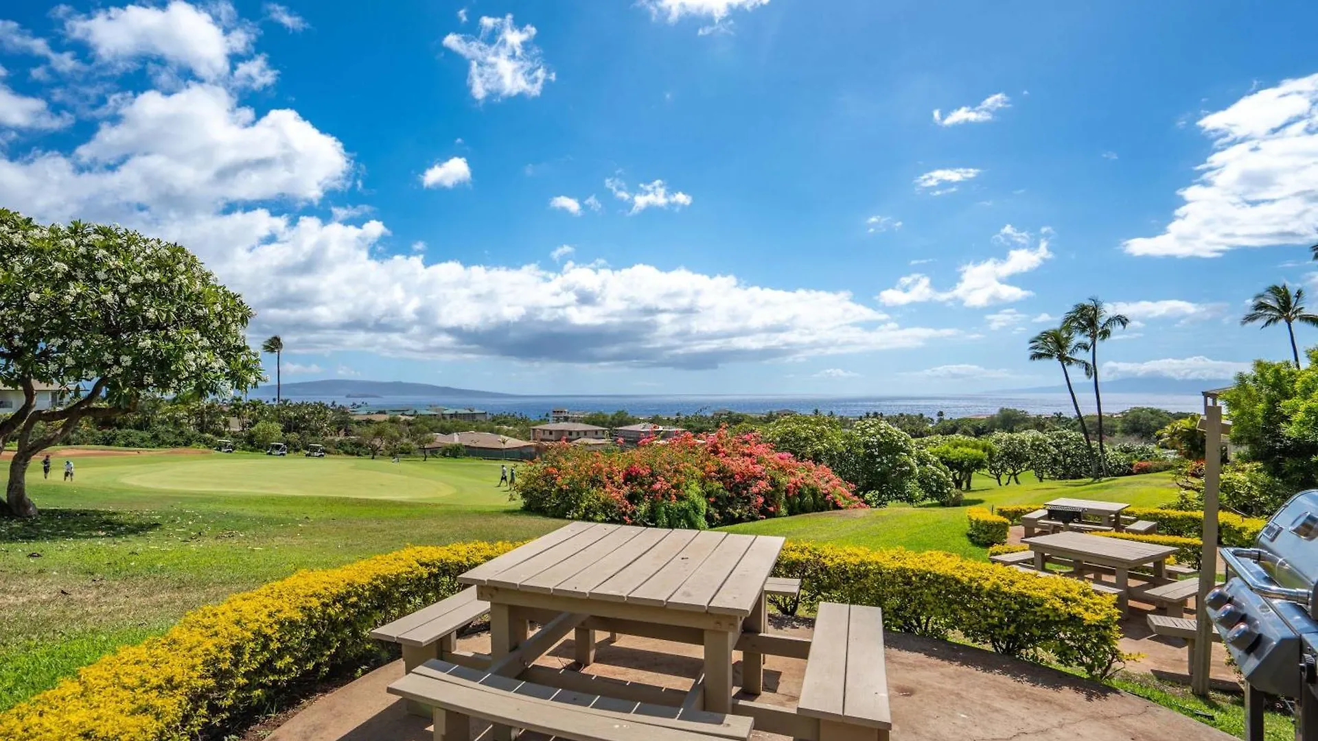 Refined Oceanview Vistas Wailea (Maui)