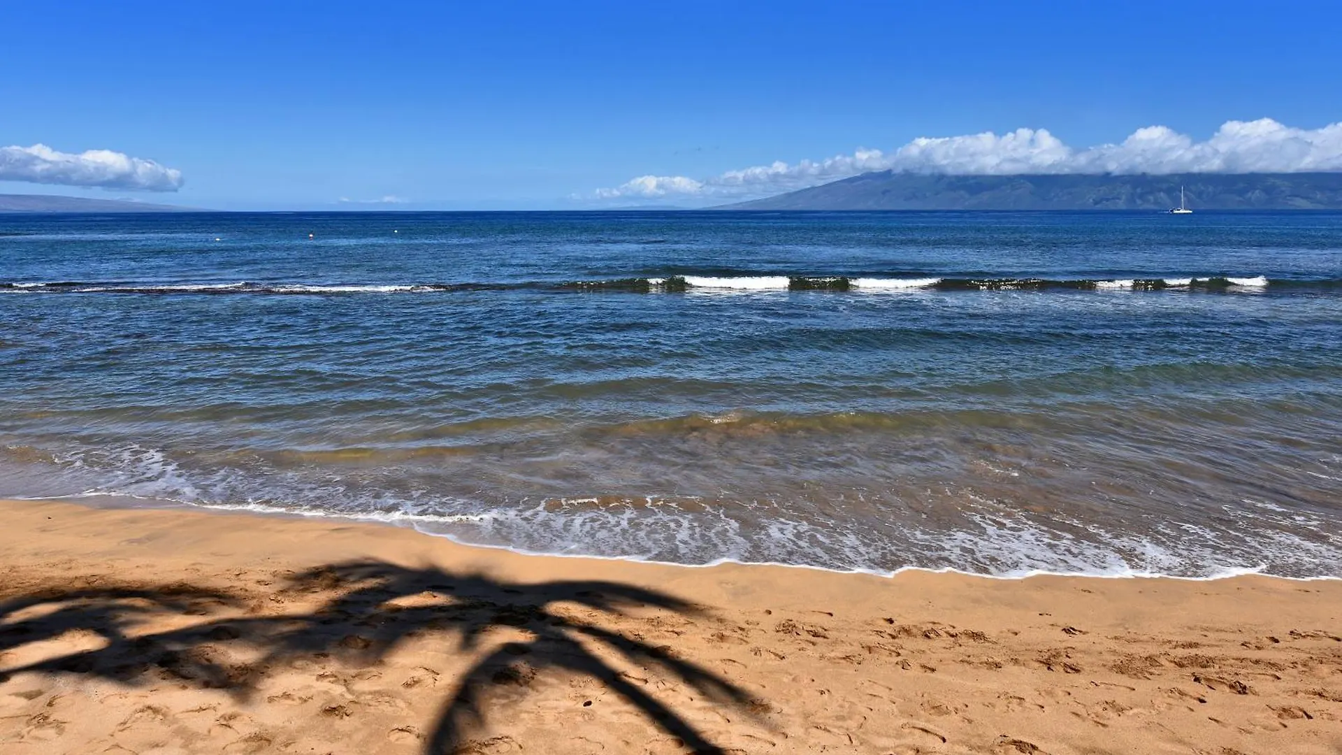 Kaanapali Shores 160 - Sleep Steps Away From The Ocean * Kahana