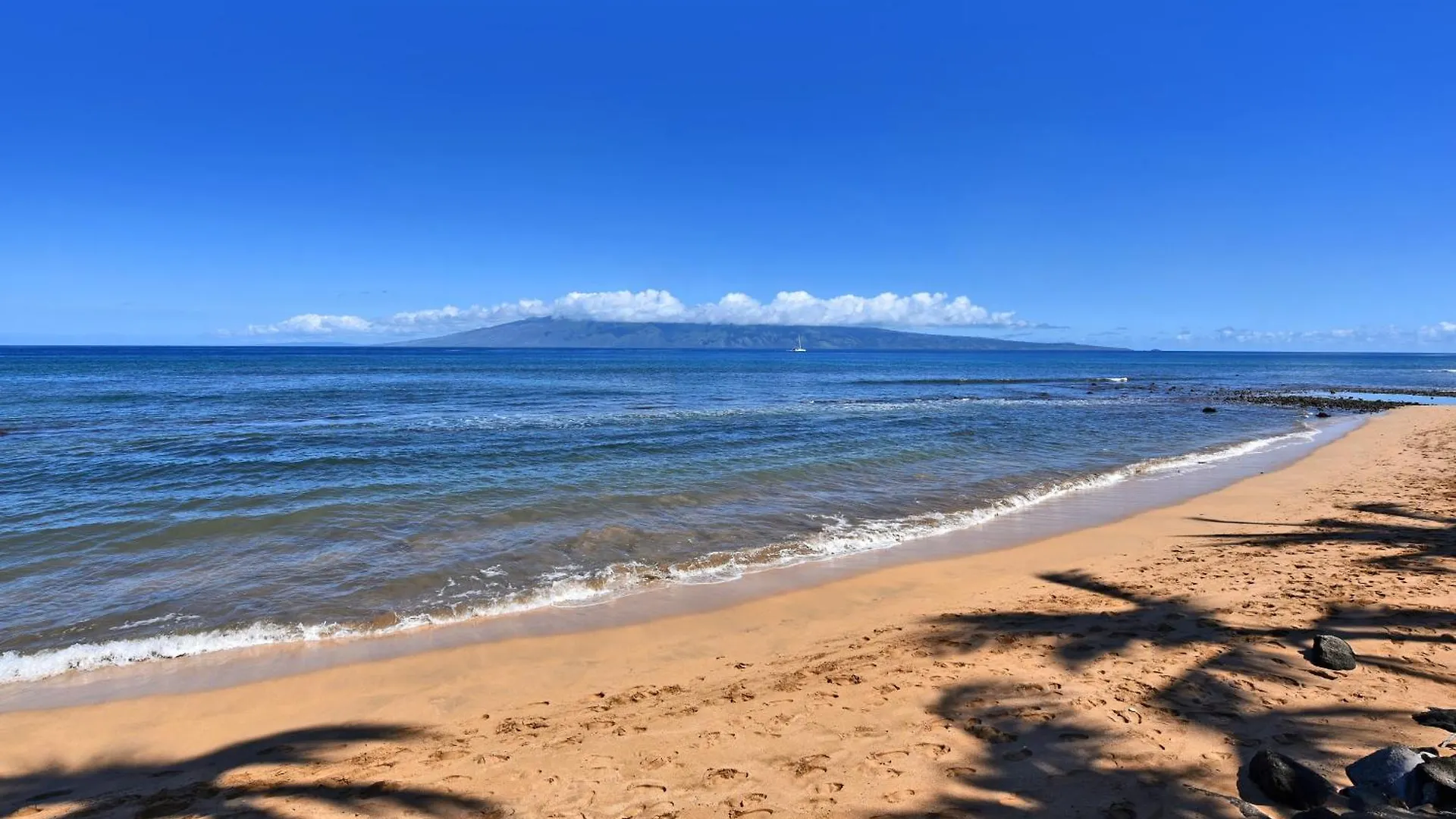 Feriested Kaanapali Shores 160 - Sleep Steps Away From The Ocean *