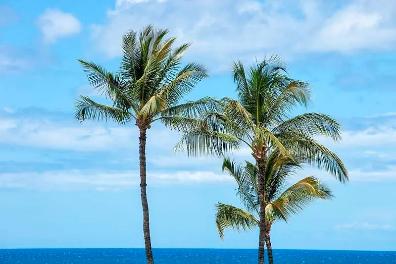 Leinaala Maui And Ξενοδοχείο