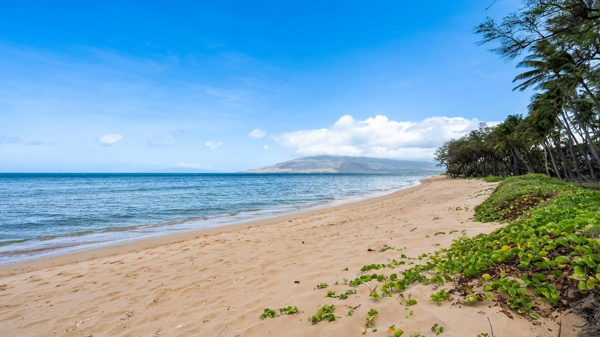 Hale Kai O 307 Semesterbostad Kihei