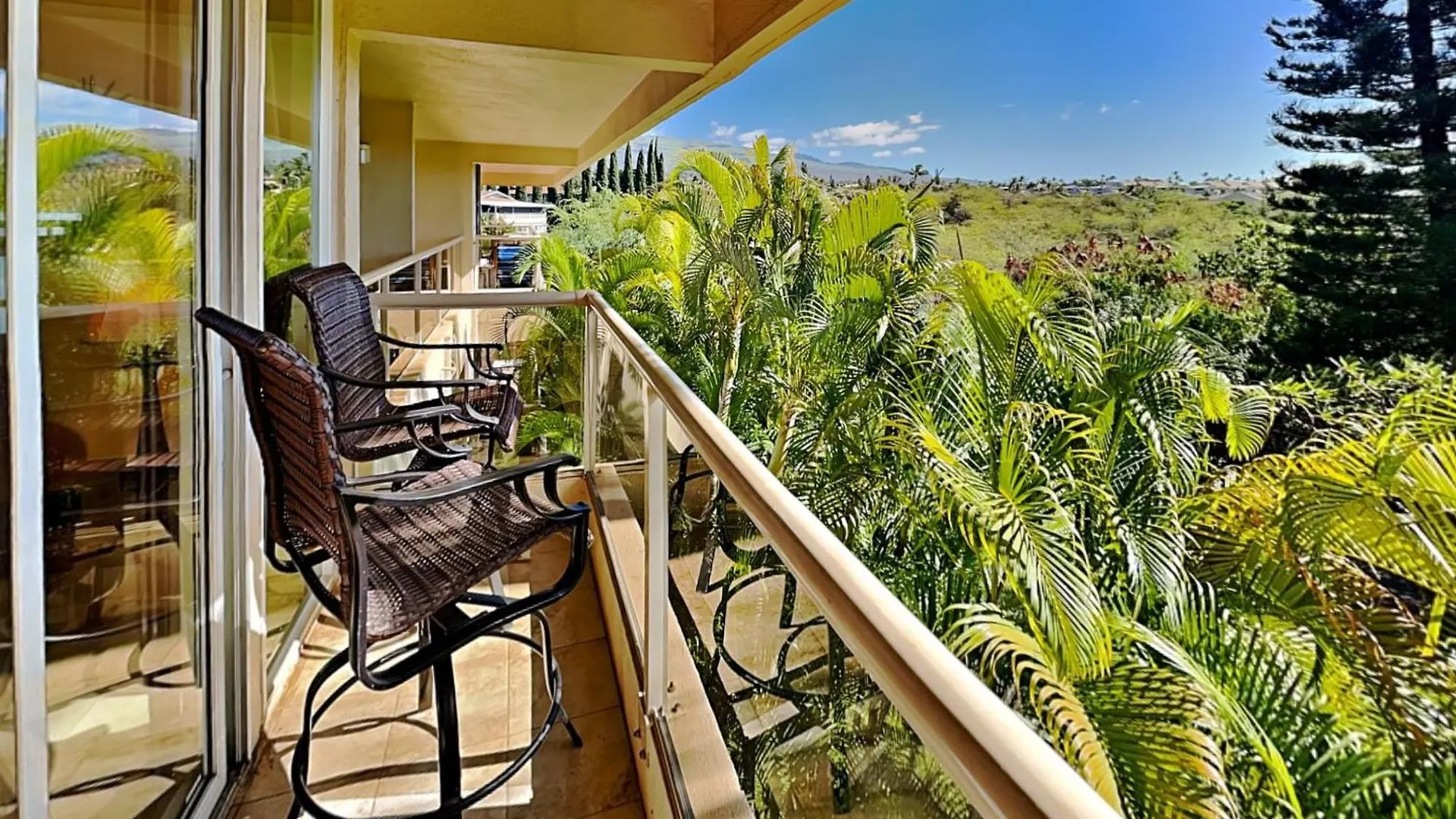 Maui Banyan T-305 *