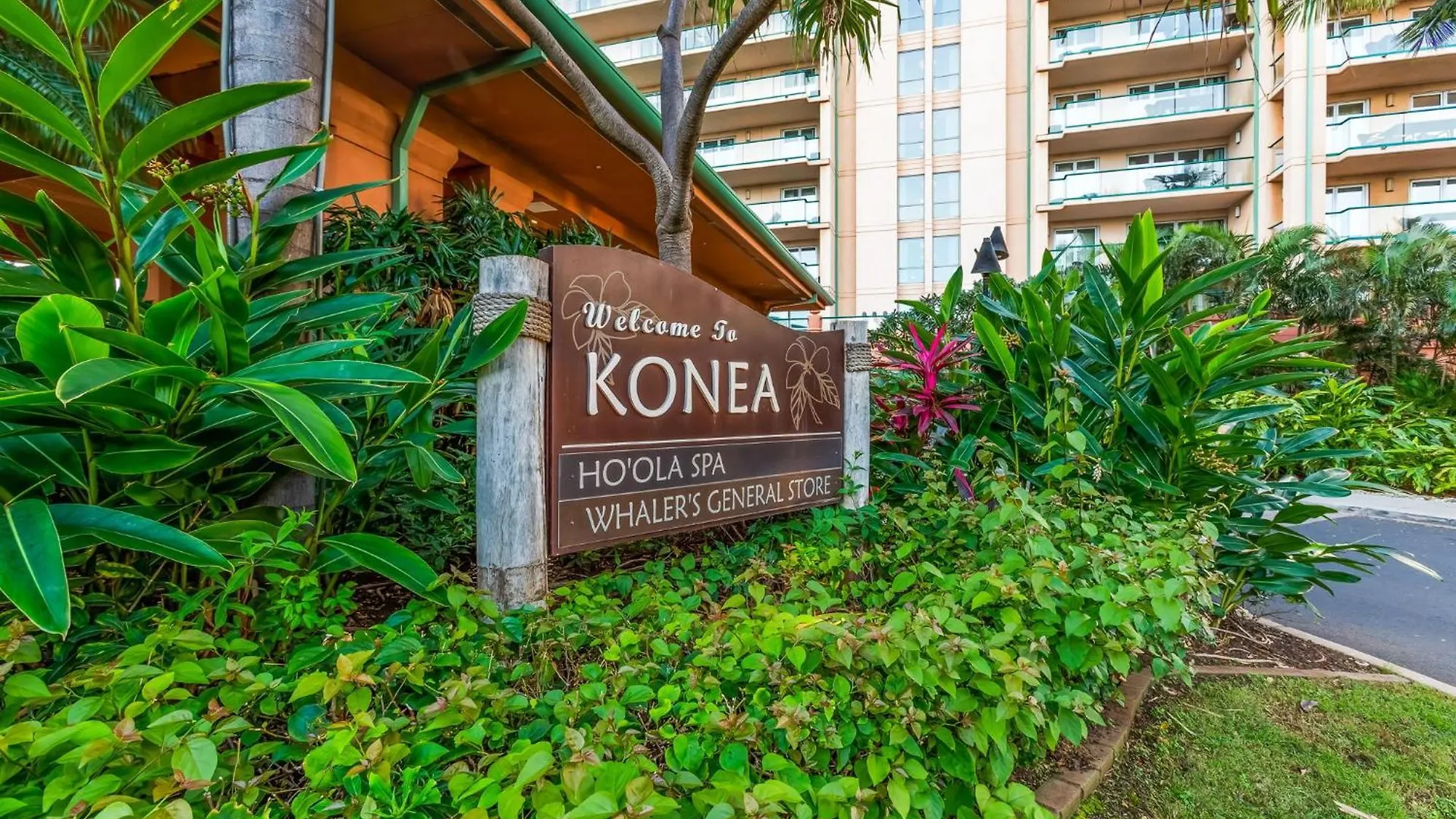 Extra Large 1br Luxury With Massive Outdoor Space & Balcony *