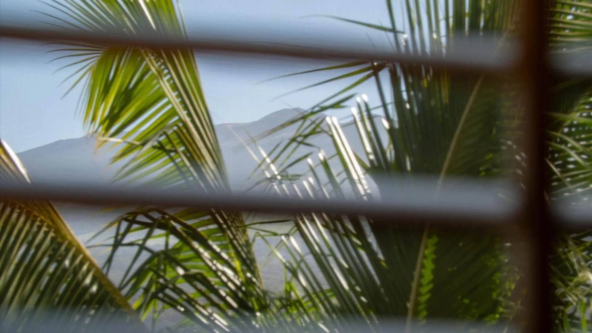 Villa Totally Revamped Pacific Paradise J505 At Wbv! -top Floor Ocean Views!
