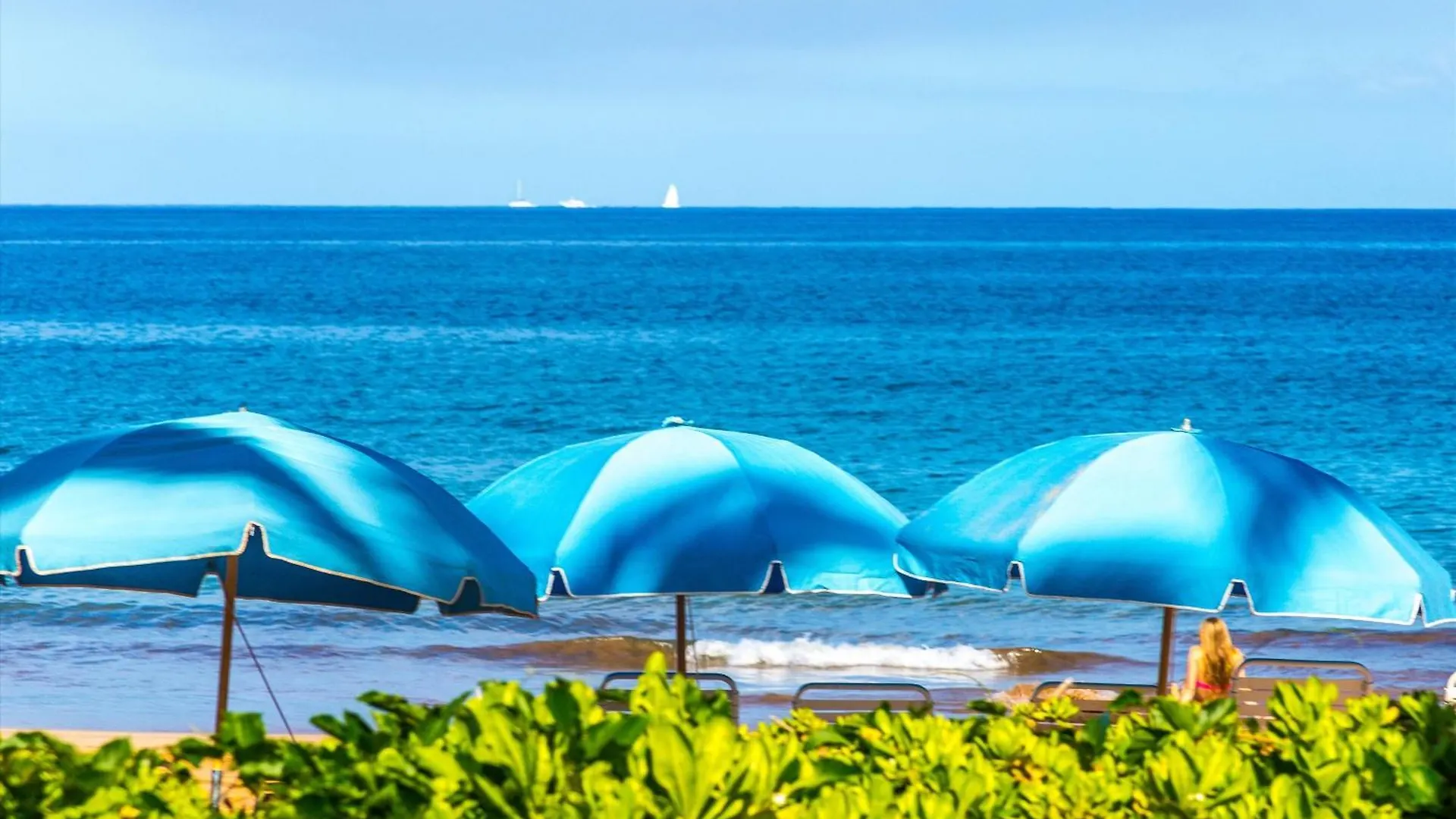 Beautiful Bali Pool F102 Private Plunge Pool, Large Yard, Sleeps 8! Villa Wailea (Maui)