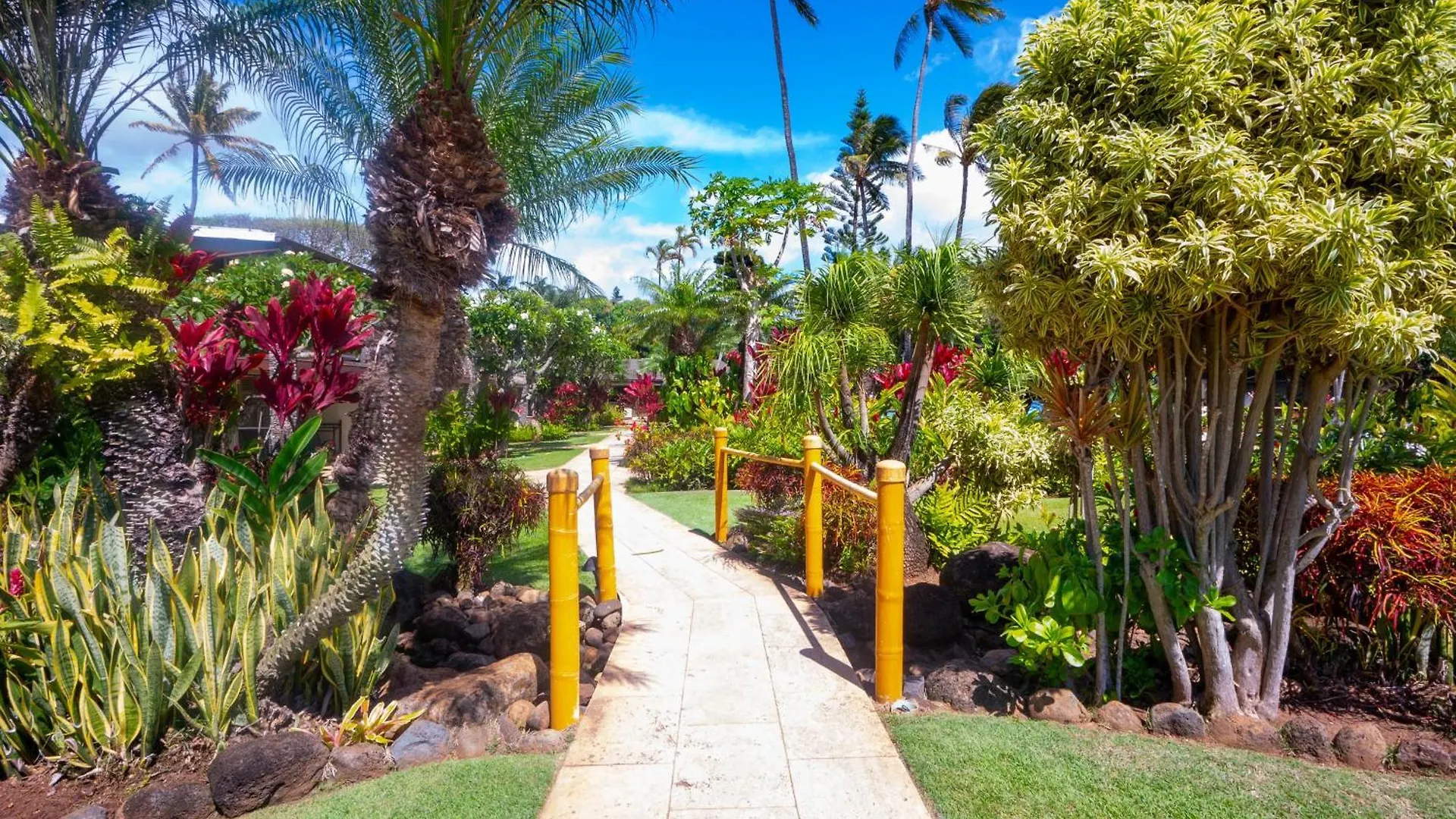 The Mauian Kapalua
