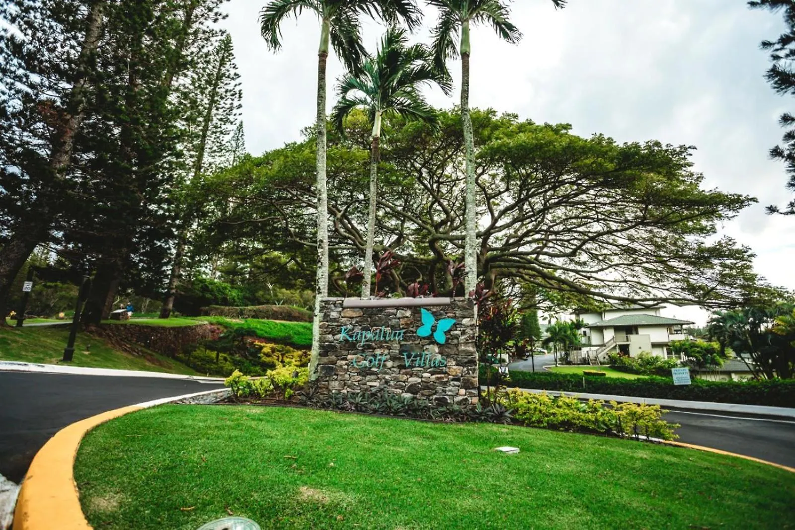 Spacious 5-bedroom Golf Collection - Multi Unit Listing - Same Enclave - Golf Course Views - 3 Free Cars Kgv-24p724p224t1 Lejlighed Kapalua