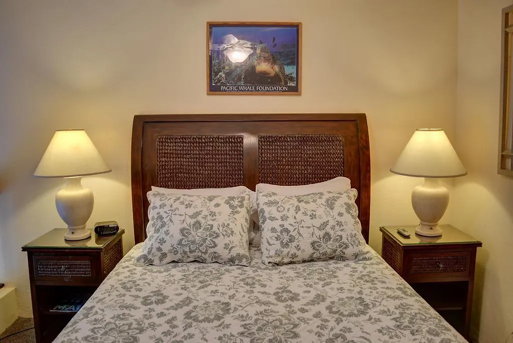 Maui Vista By Maui And Lejlighedshotel