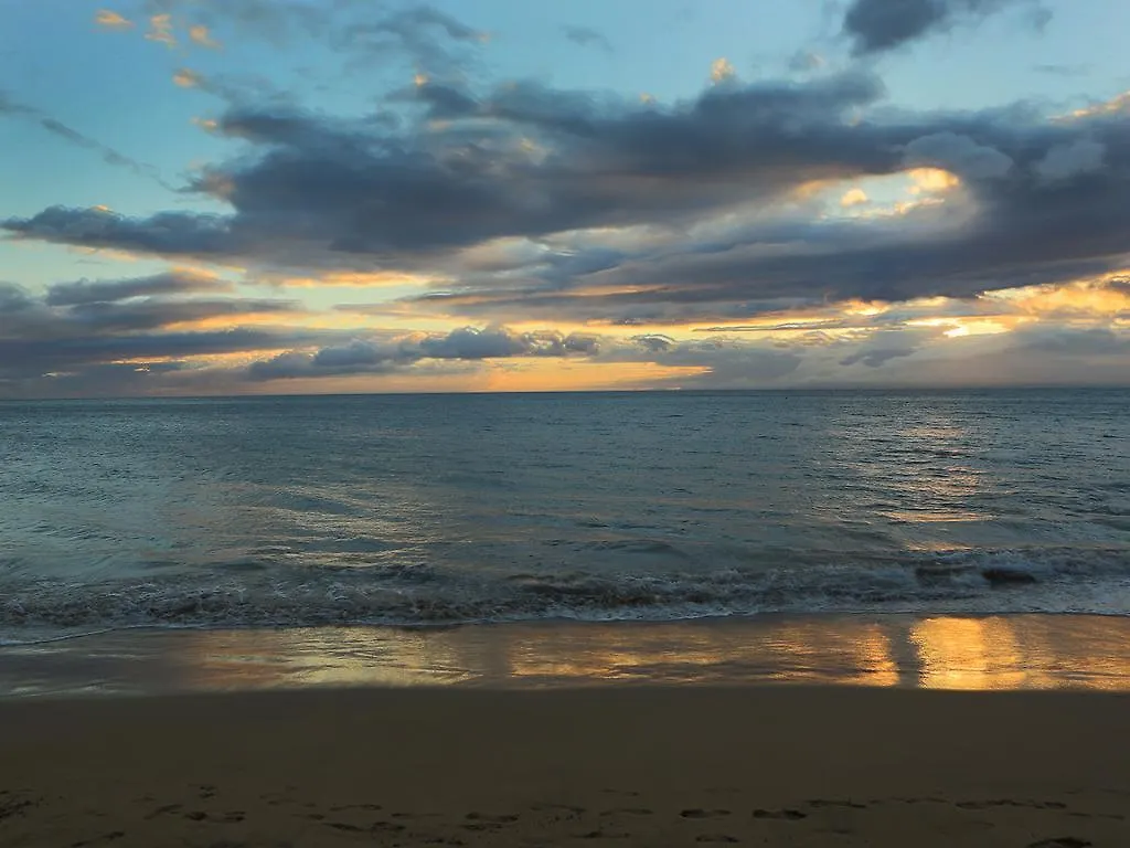 Beautiful 1br At Ali'i Kai, South With Ocean Views, Wi-fi, Split Ac, Parking