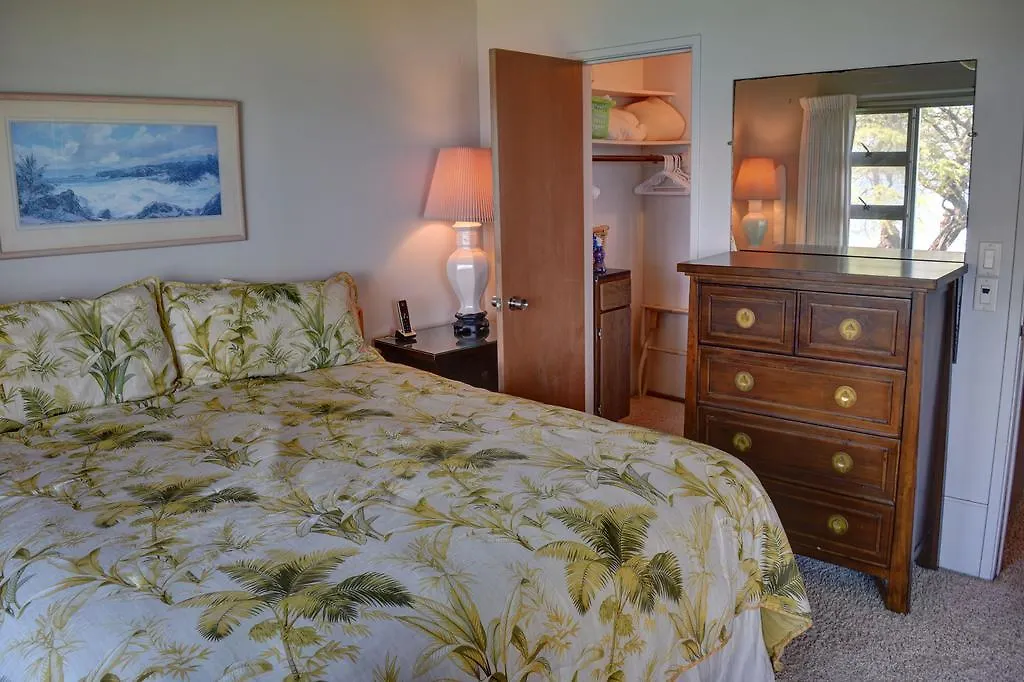 Royal Mauian 307