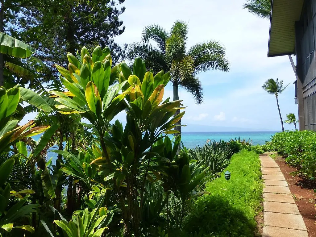 Mahina Surf 220 By Redawning Apartahotel