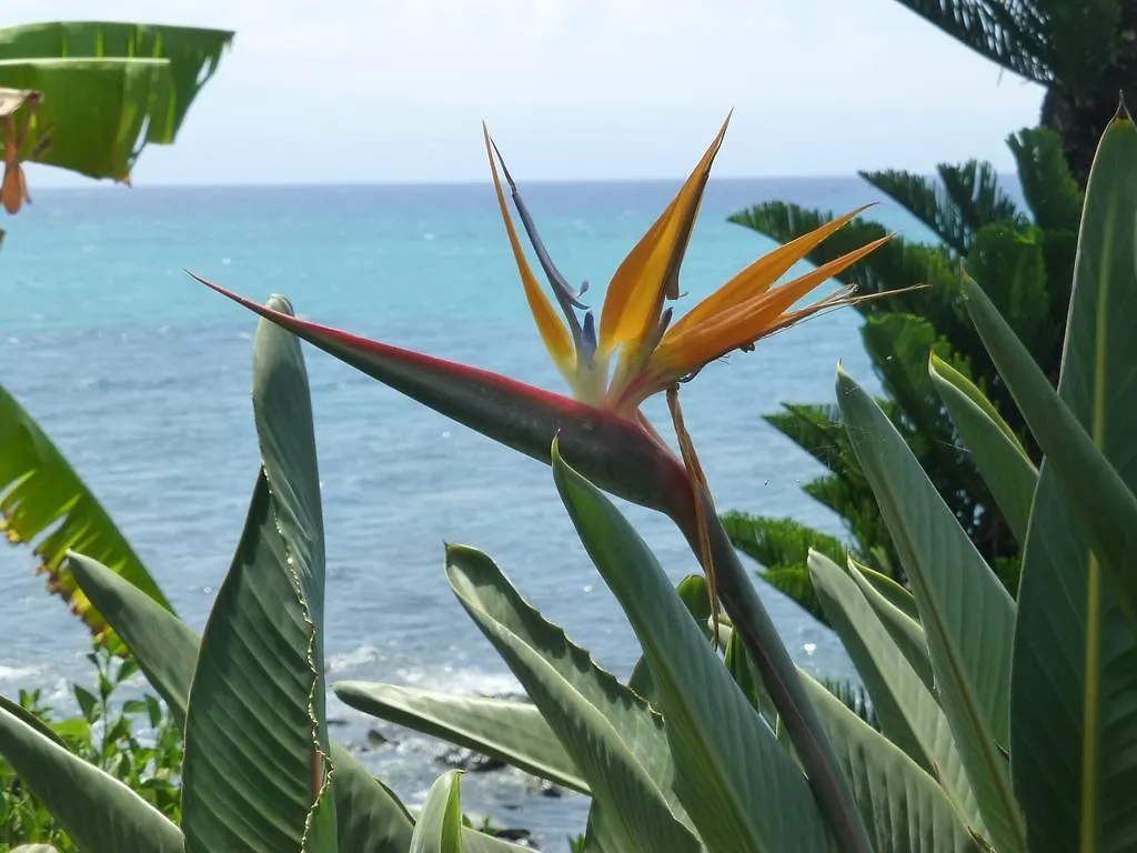 Apartahotel Mahina Surf 220 By Redawning 4*