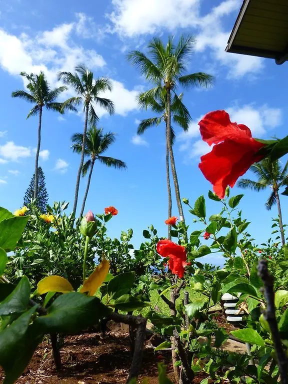 Mahina Surf 220 By Redawning 4* Lahaina
