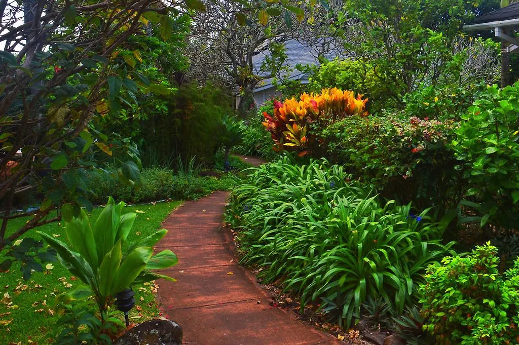 Bed & Breakfast Banyan Tree Retreat Makawao