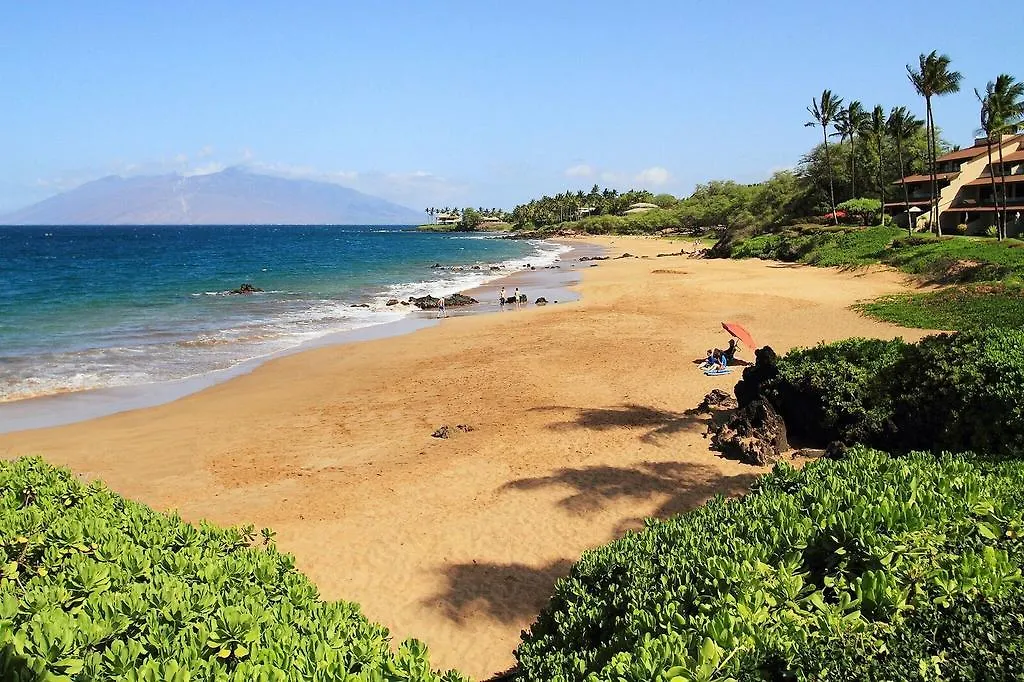 Makena Surf- Coraltree Collection