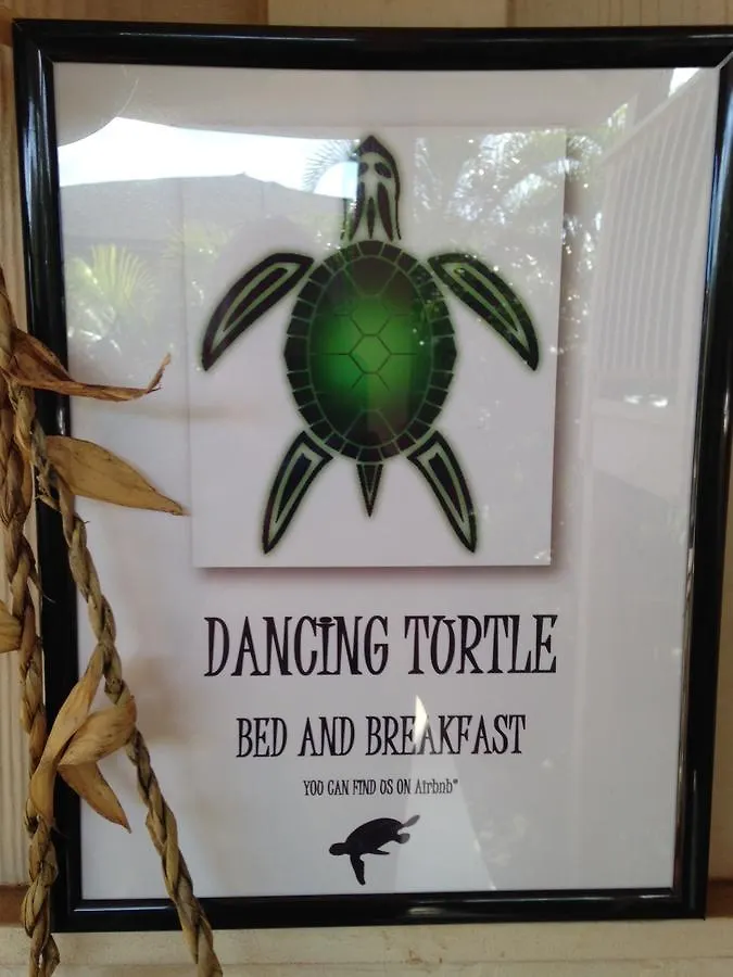 Dancing Turtle Отель типа 