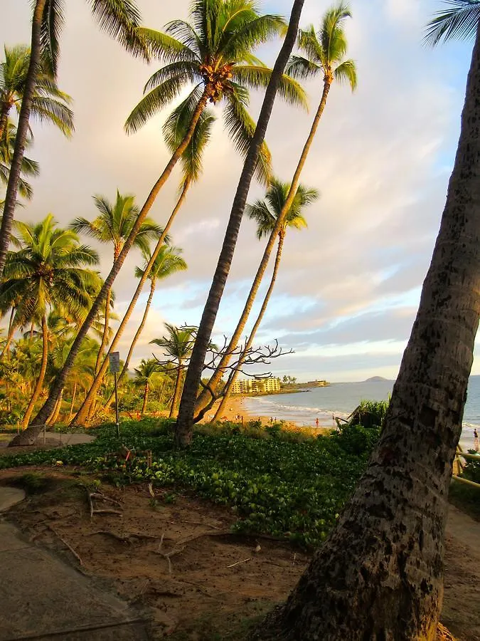 Maui-licious By The Διαμέρισμα