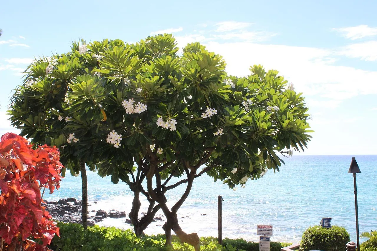 Kuleana 618 度假居 *