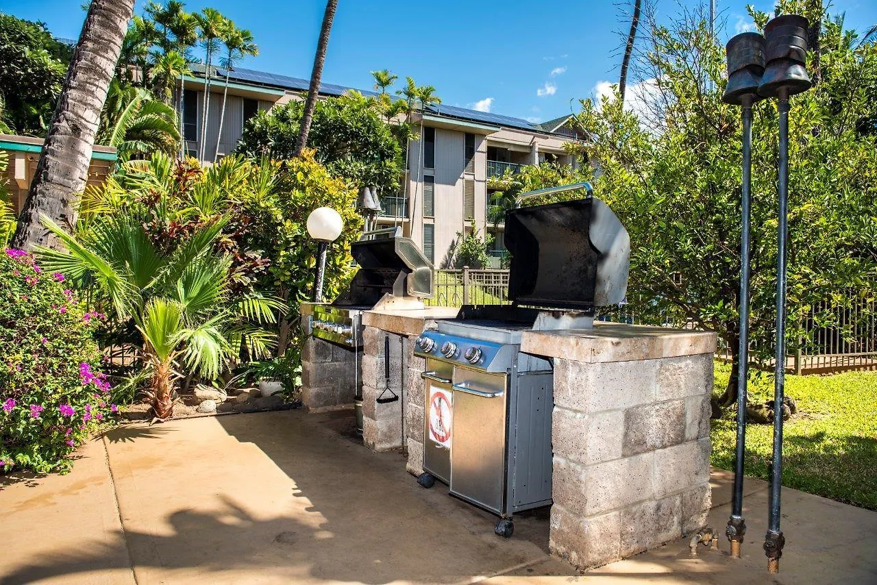 Kalama Terrace P309 Lägenhet Kihei