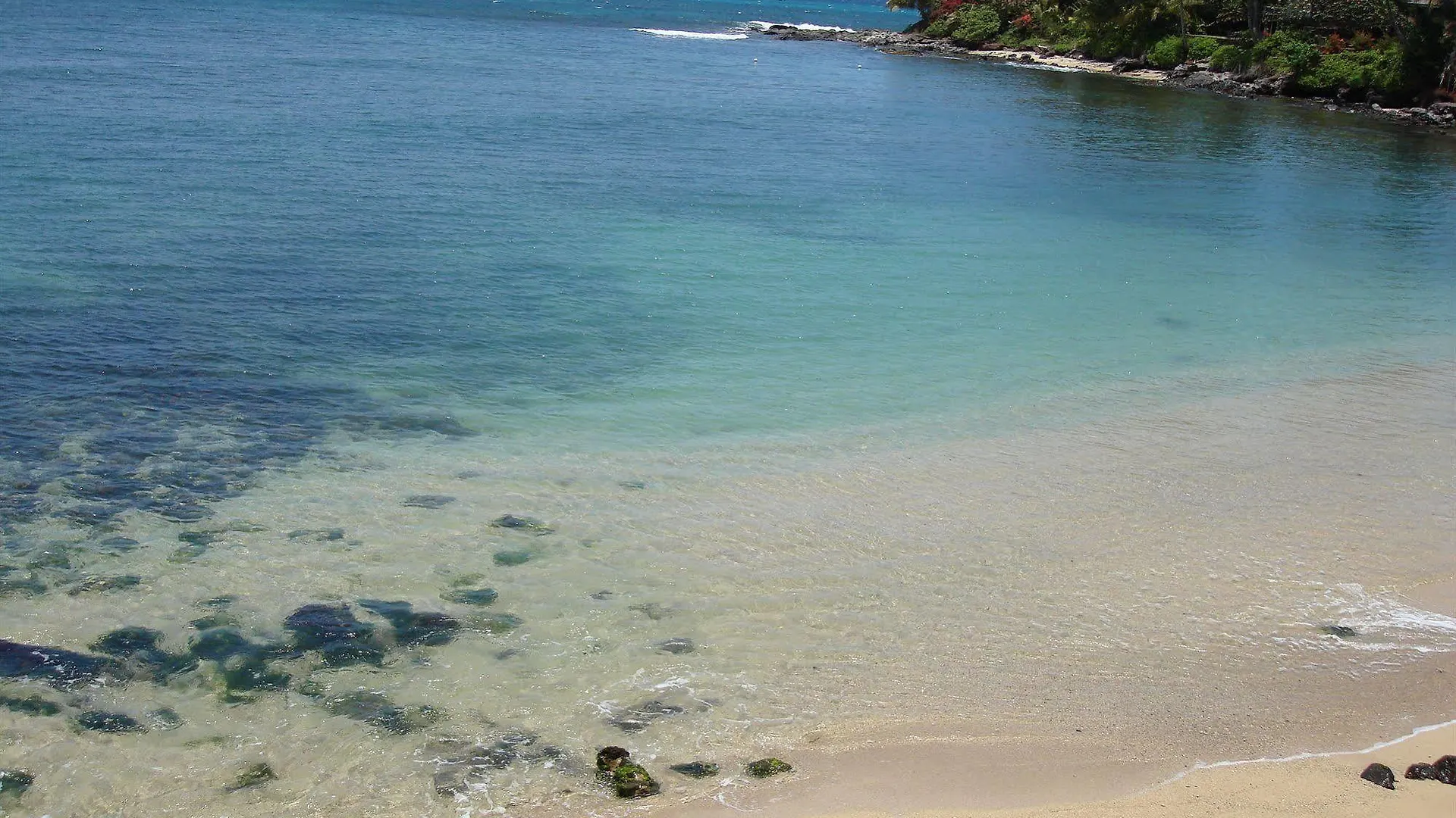 Maui House B&B