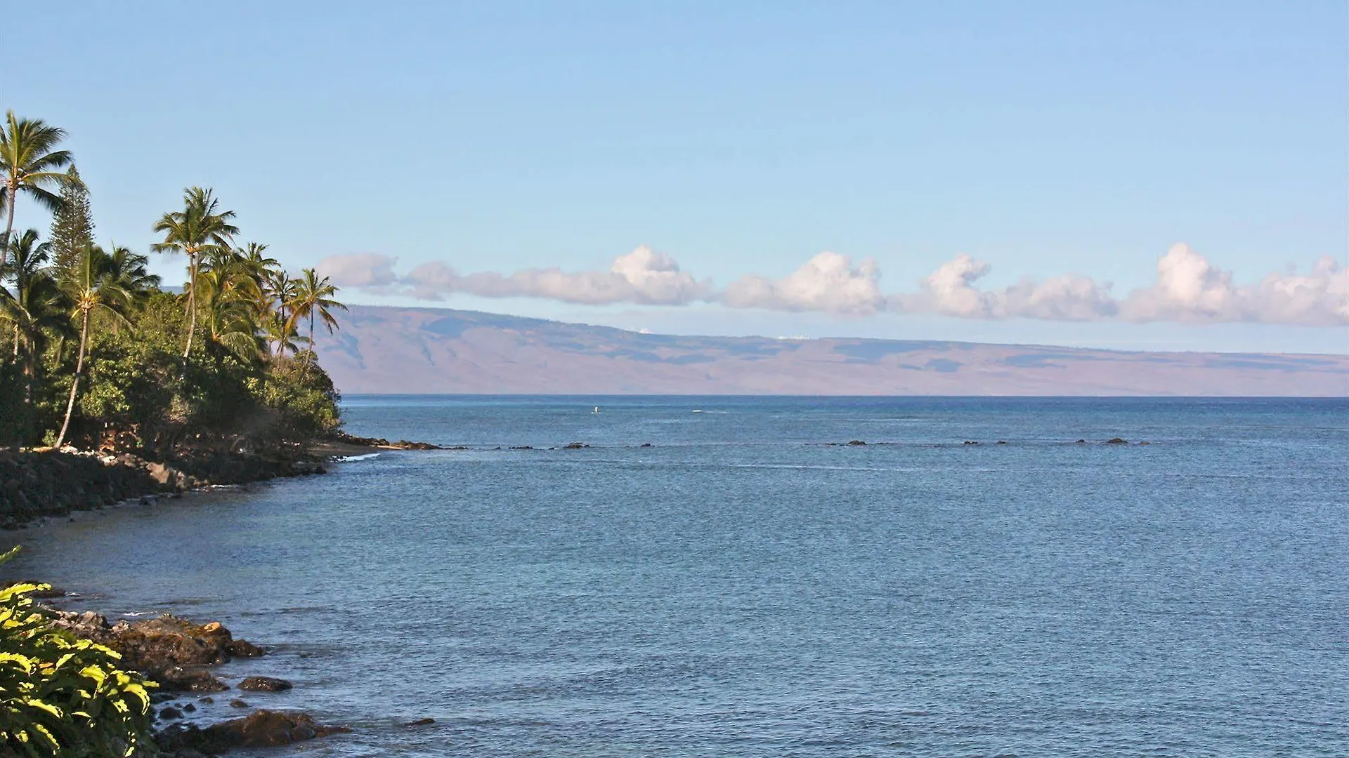 B&B Maui House