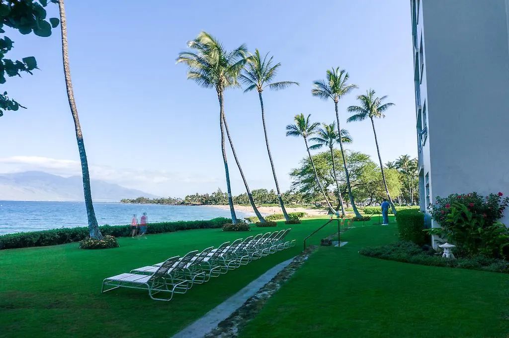 Royal Mauian, #302 * キヘイ