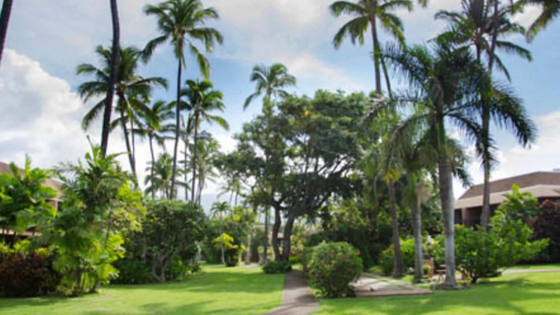 Maui Sands 호텔 Napili-Honokowai