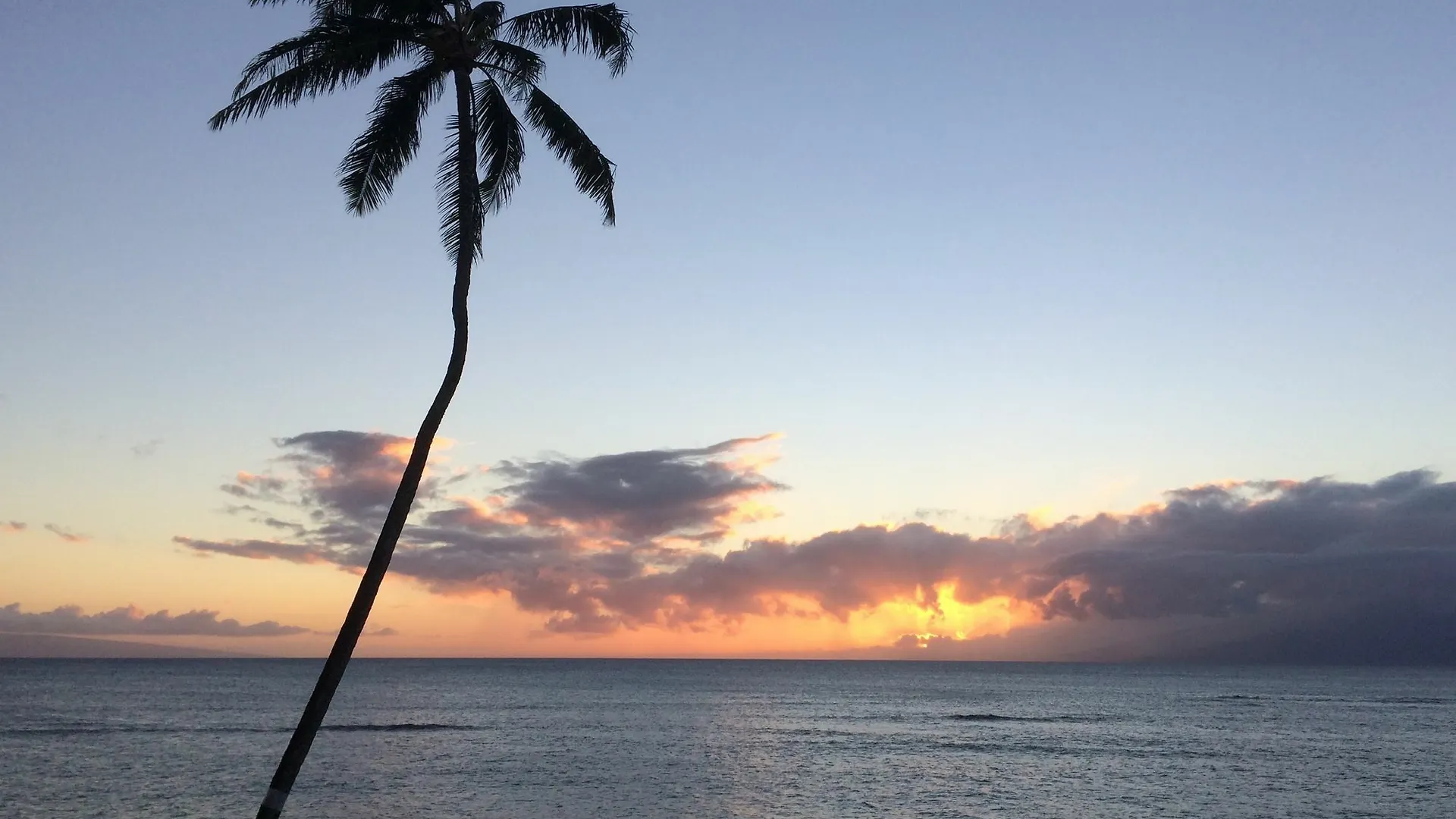 Apart-hotel Kahana Reef By Maui And