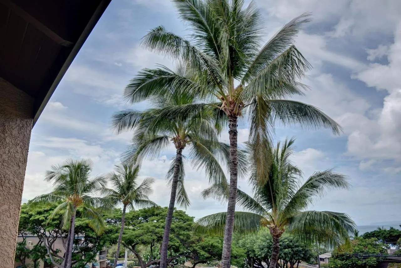 Maui Vista 1411 *